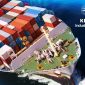 nk-news
